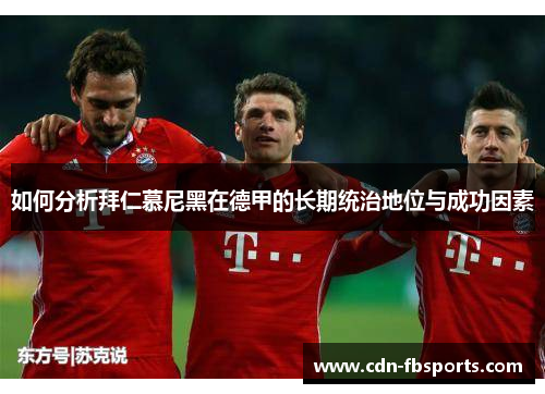 如何分析拜仁慕尼黑在德甲的长期统治地位与成功因素