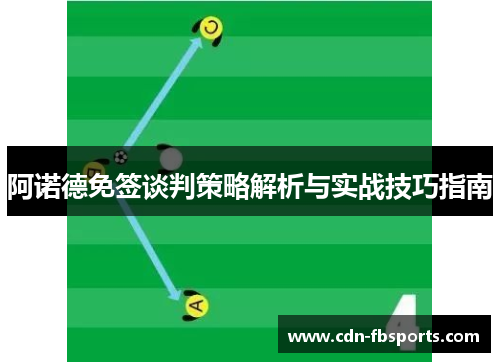 阿诺德免签谈判策略解析与实战技巧指南